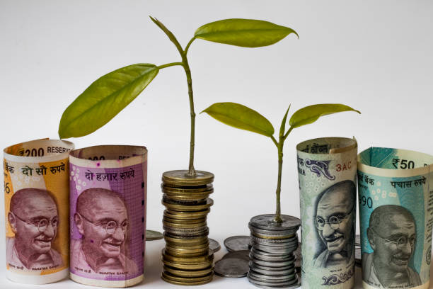 Mutual Fund